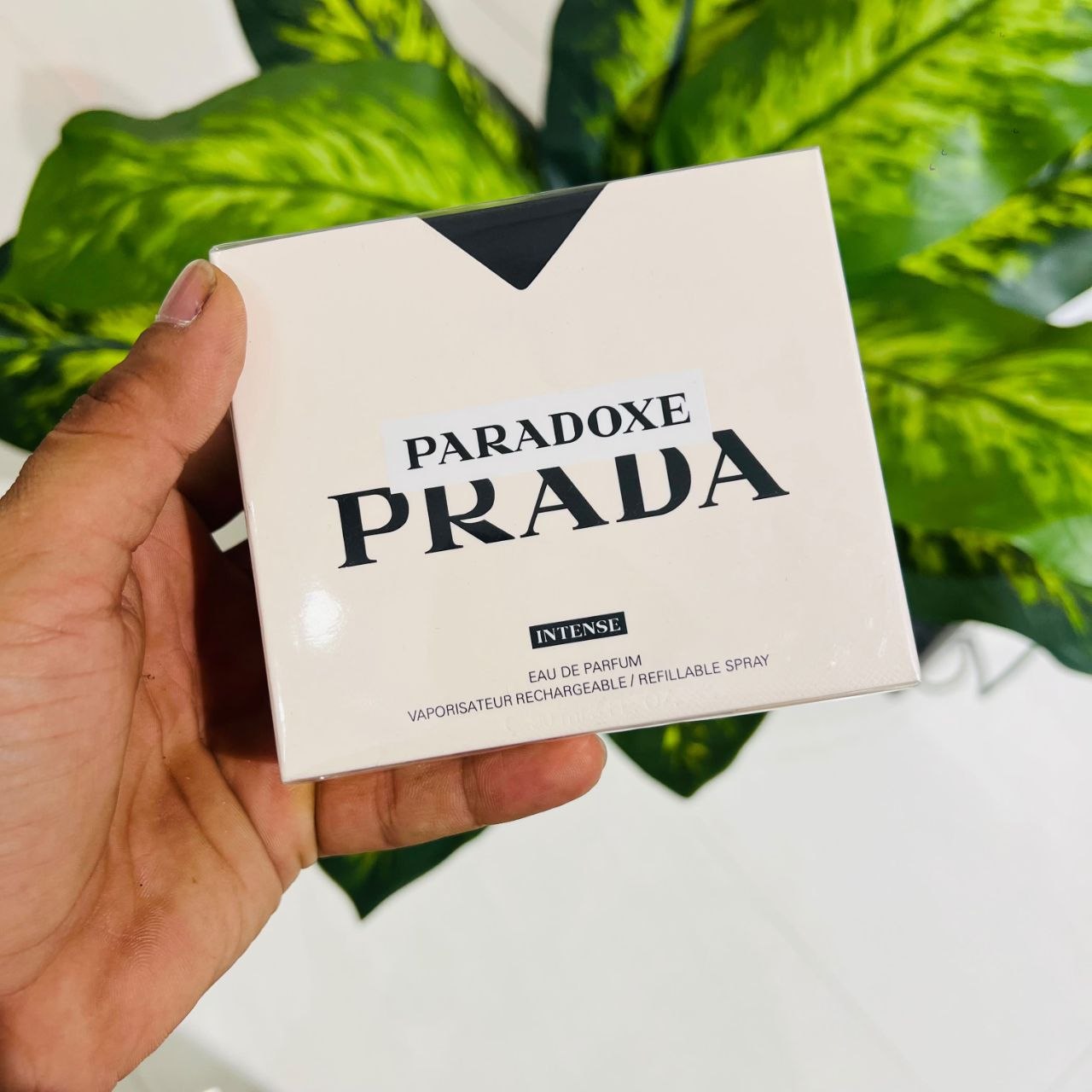 Paradoxe Prada