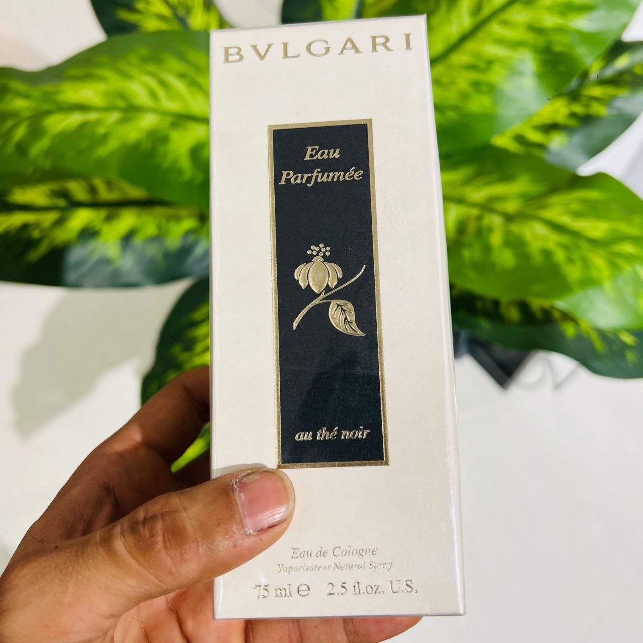 Bvlgari au the noir