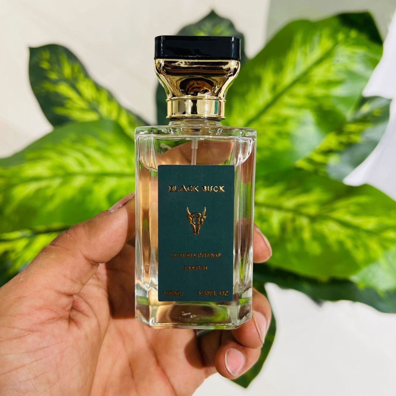 Black Buck Luxuria Intense