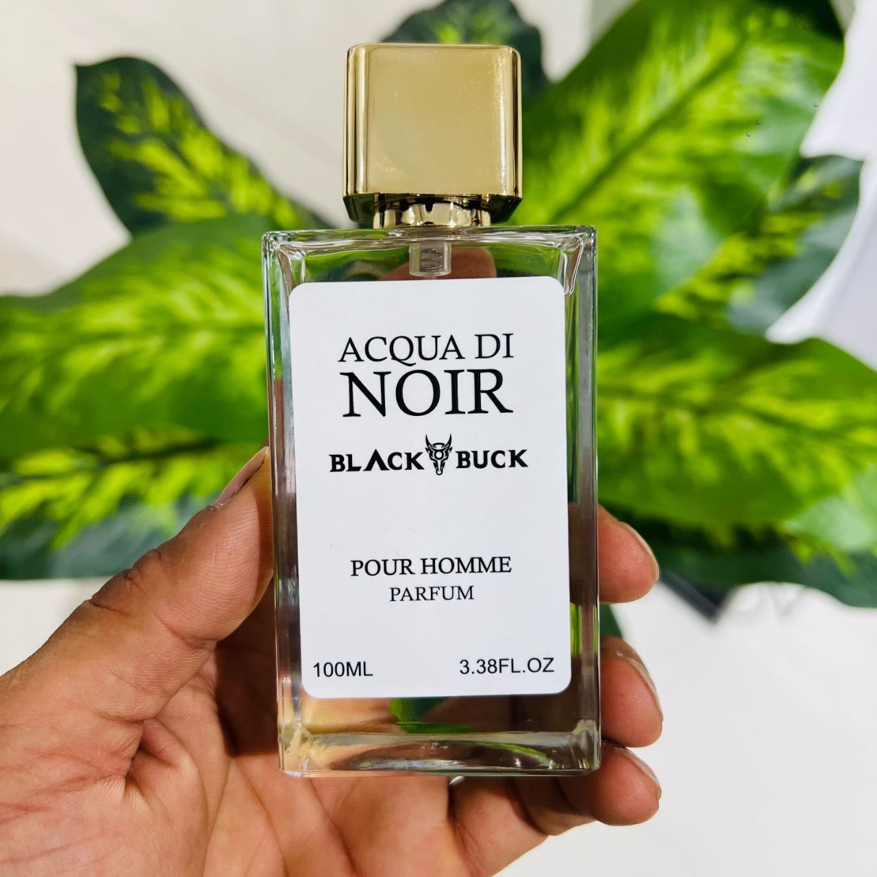 Black Buck Acqua Di Noir