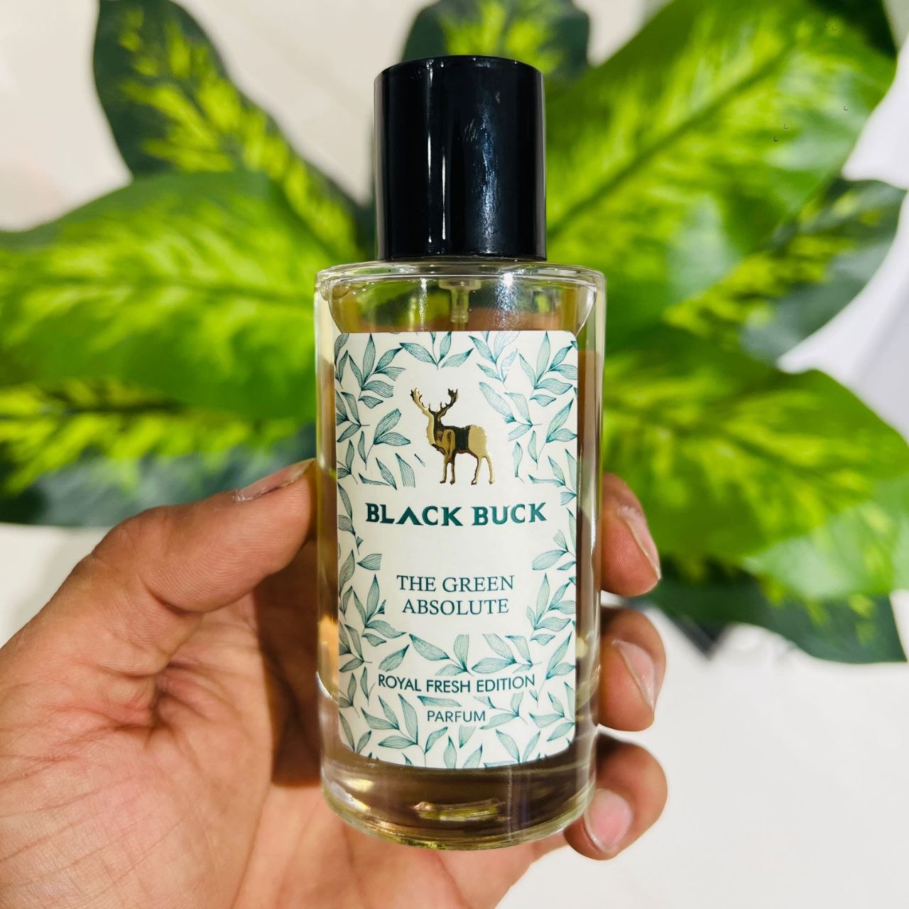 Black Buck The Green Absolute