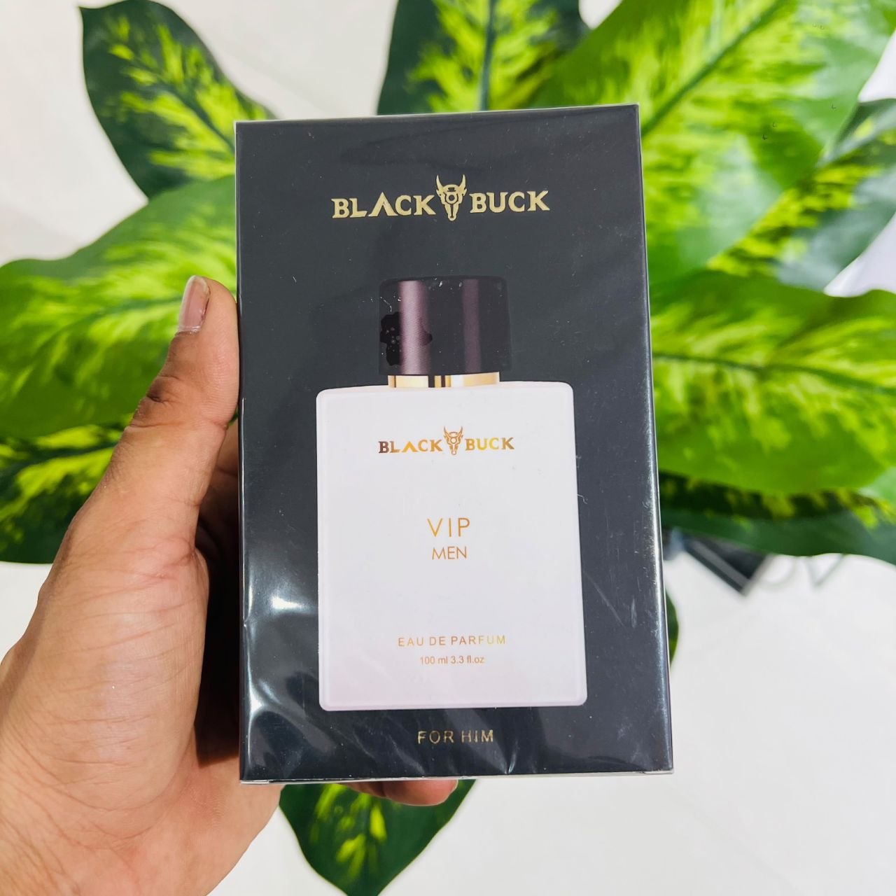 Black Buck VIP White