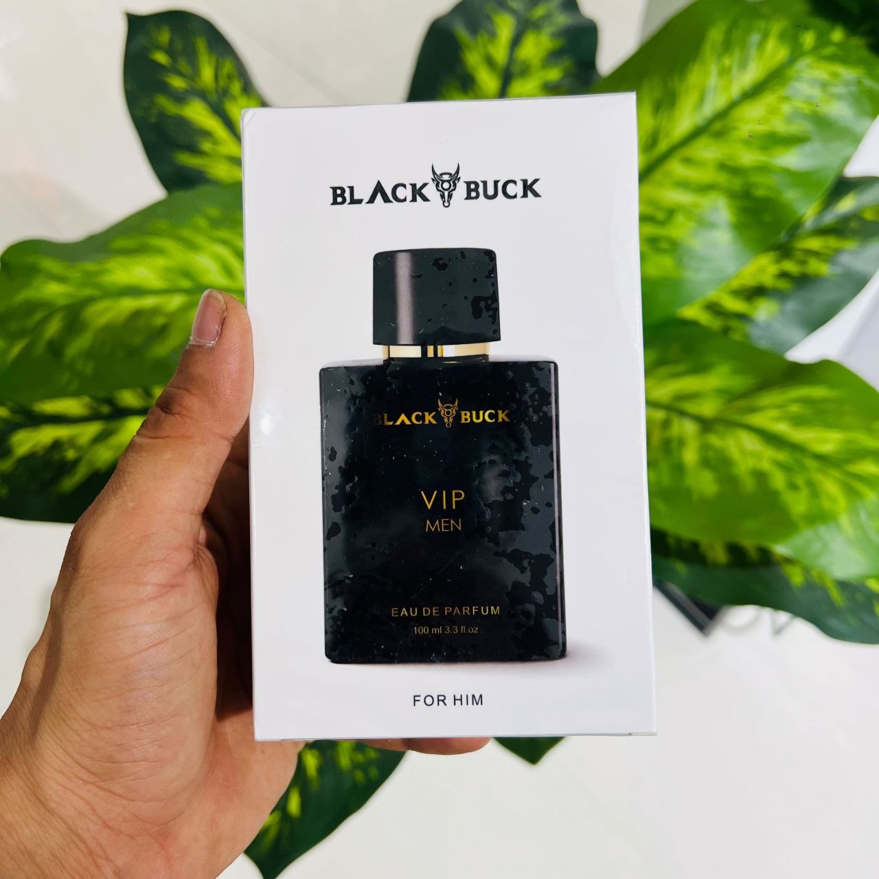 Black Buck VIP Black