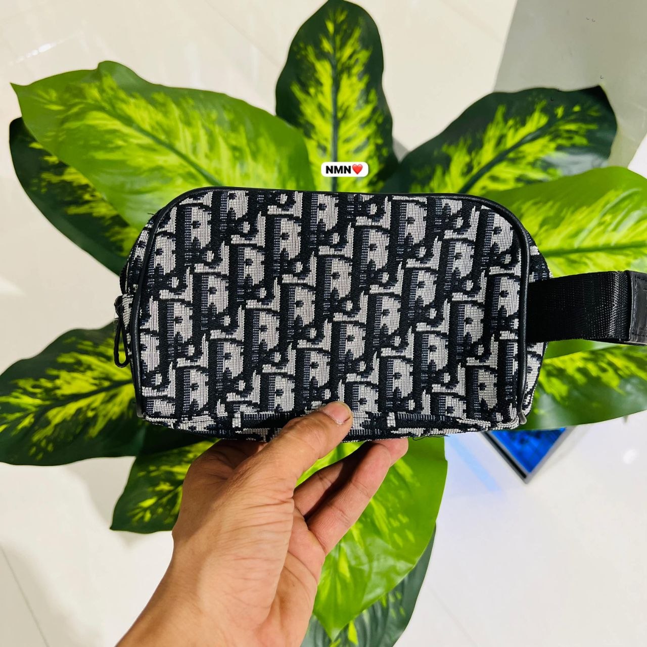 hand pouch dior bag