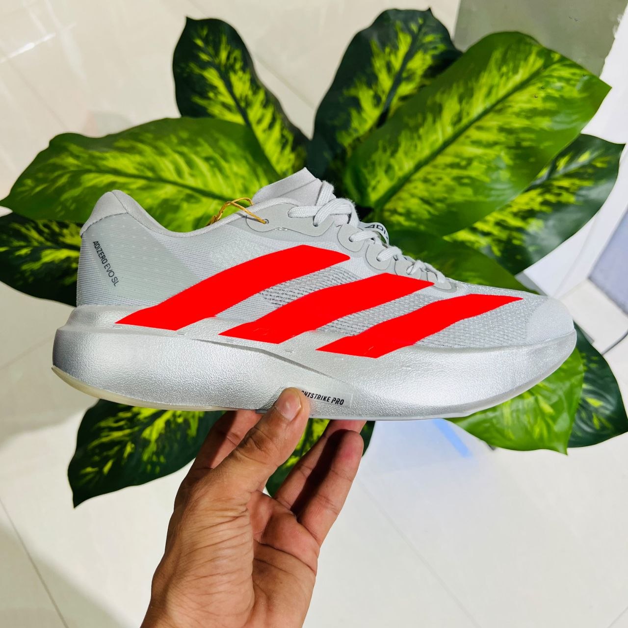 Shoes adidas adizero evo sl grey red